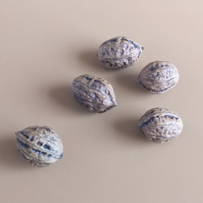 3d Small Walnut Silicone Molds - Candle Supplies Eu ulasan dan harga